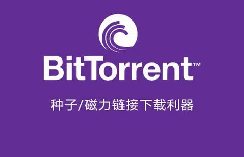 BitTorrent Pro汉化共存版