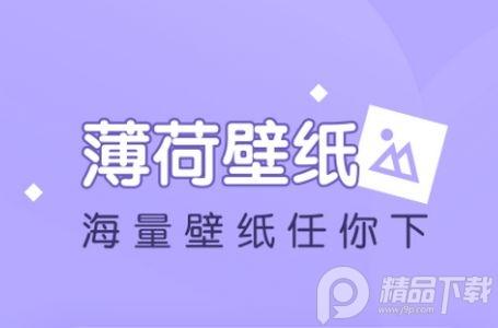 薄荷壁纸app官方版 薄荷壁纸app官方版