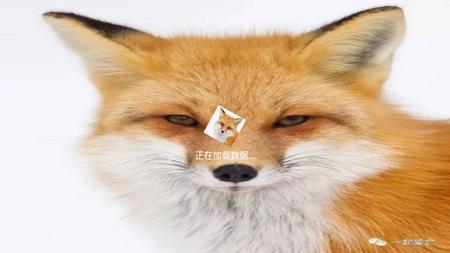 狐妖TV电视免费版