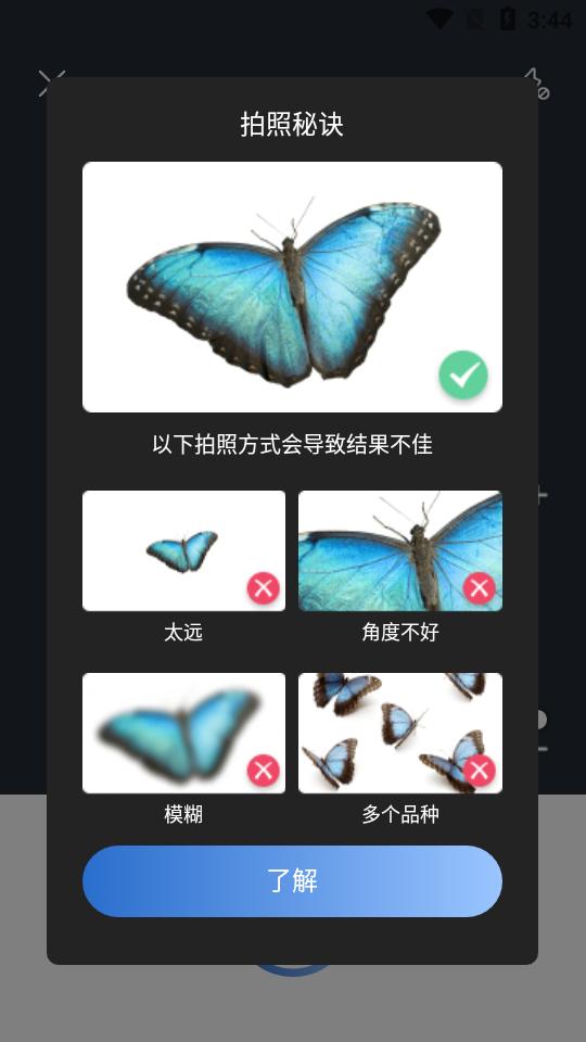 昆虫识别软件Picture Insect最新版
