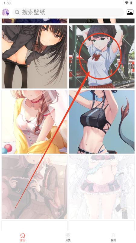 二次元壁纸集app