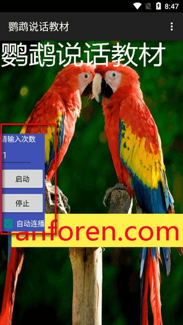 鹦鹉说话教材软件 鹦鹉说话教材软件