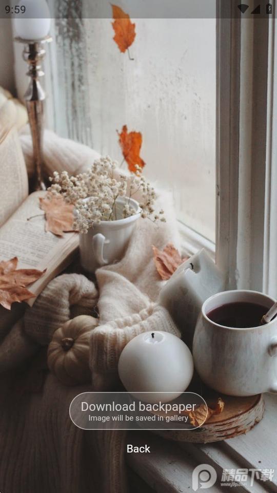 Backpaper壁纸软件官方版 Backpaper壁纸软件官方版