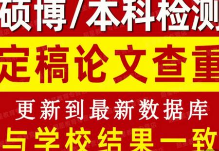 论文查重极速版 论文查重极速版