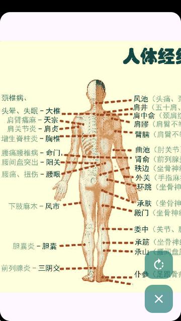 人体穴位图解app 人体穴位图解app