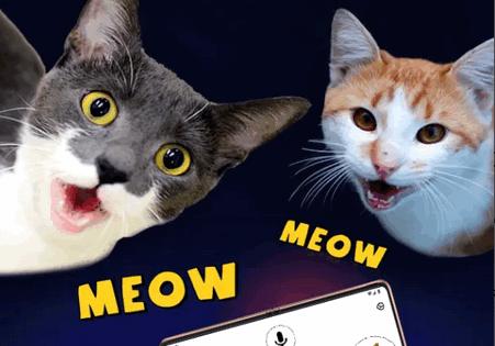 人猫翻译器免费版(Cat Translator) 人猫翻译器免费版(Cat Translator)