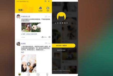 句苗岛养宠生活圈