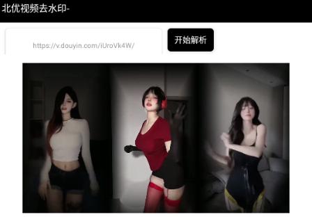 北优视频去水印