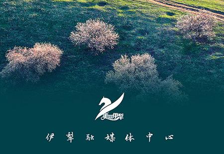 美丽伊犁app官方版 美丽伊犁app官方版