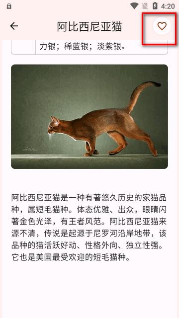 猫品种大全app最新版 猫品种大全app最新版