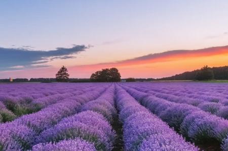 小宝快跑壁纸APP最新版 小宝快跑壁纸APP最新版