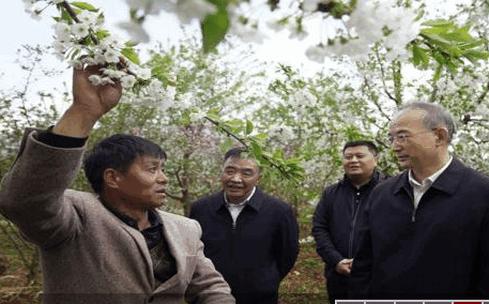 四川科技兴村在线官方版 四川科技兴村在线官方版