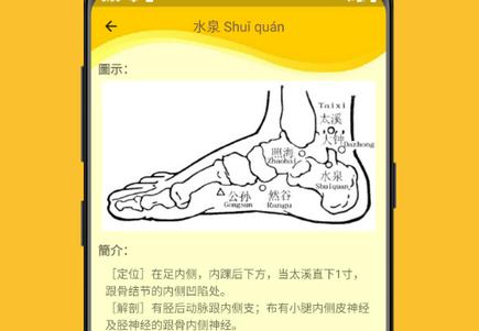 人体穴位图解app 人体穴位图解app