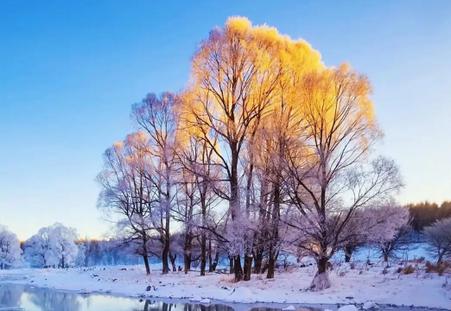 小米第三方主题软件(Themes for MIUI)