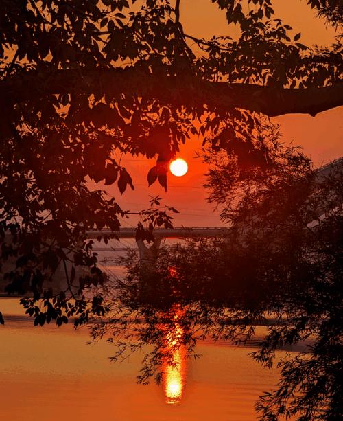 谷歌相机8.8agc在线配置版