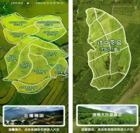 连南云上田园app
