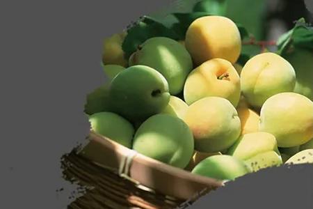 北菜农批app 北菜农批app