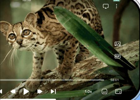网盘播放器VidHub app正版