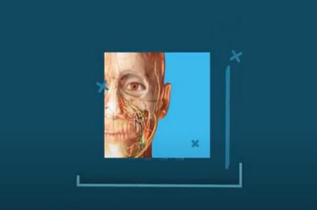 2021人体解剖学图谱解锁版 2021人体解剖学图谱解锁版