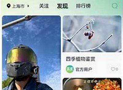 蓝星社交平台