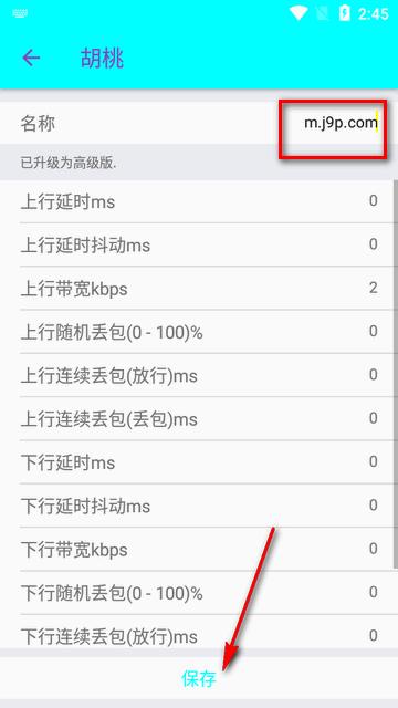 胡桃弱网内置参数版