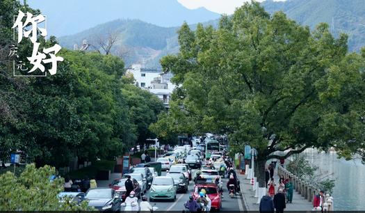 掌上庆元app最新版 掌上庆元app最新版