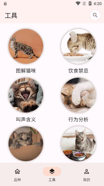 猫品种大全app最新版 猫品种大全app最新版