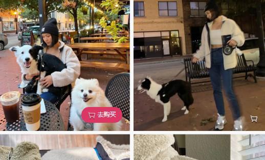 2024-07-04_113859.jpg 2024-07-04_113859.jpg