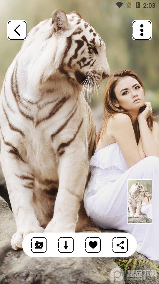 HD壁纸高清动态4k壁纸