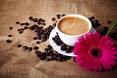 玖珠中英文翻译app手机安卓版 玖珠中英文翻译app手机安卓版