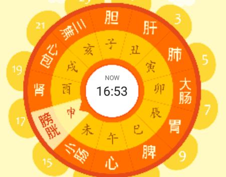 十二时辰经络养生钟app安卓版 十二时辰经络养生钟app安卓版