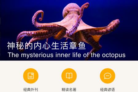 英语pk台最新版 英语pk台最新版