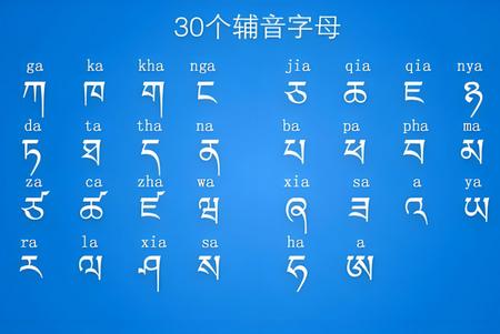 藏语识别君官方版