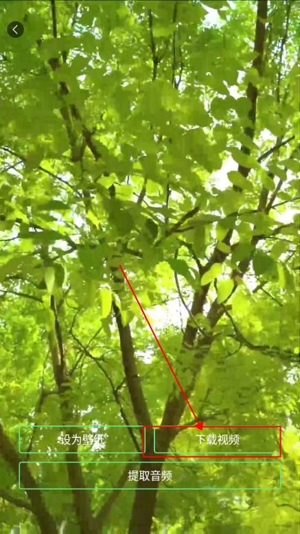 瞬搭壁纸app最新版