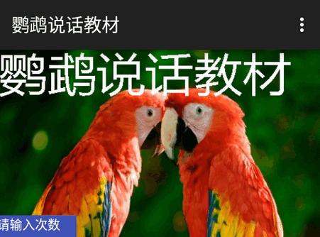 鹦鹉说话教材软件 鹦鹉说话教材软件