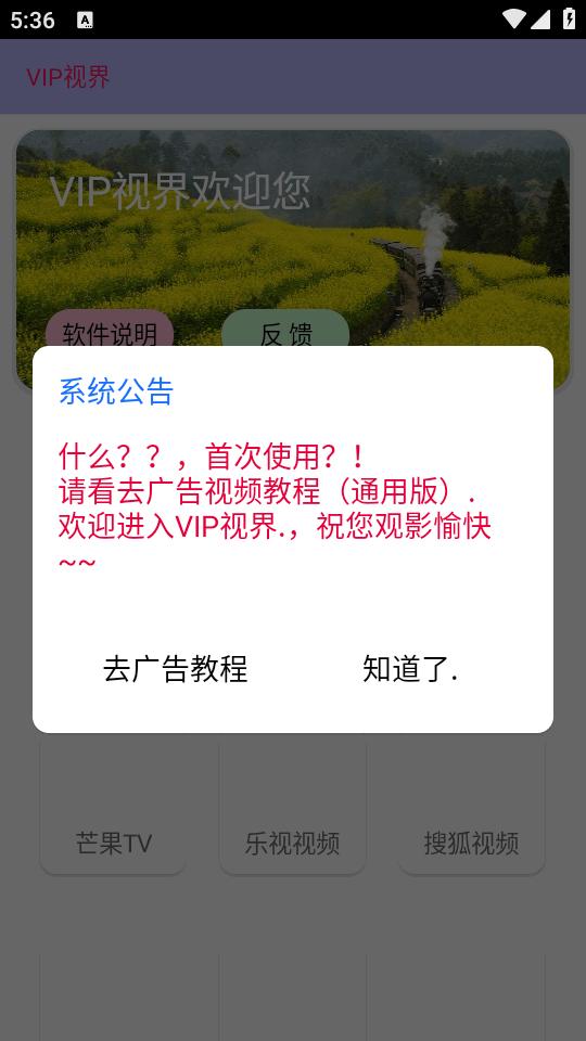 VIP视界修复版