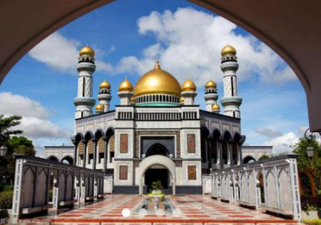 嗷呜一番赏app 嗷呜一番赏app