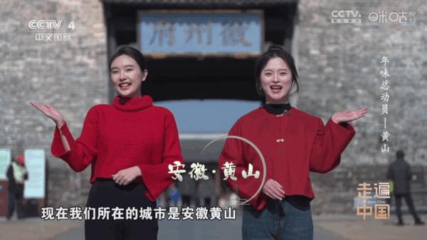 悠悠电视app最新版