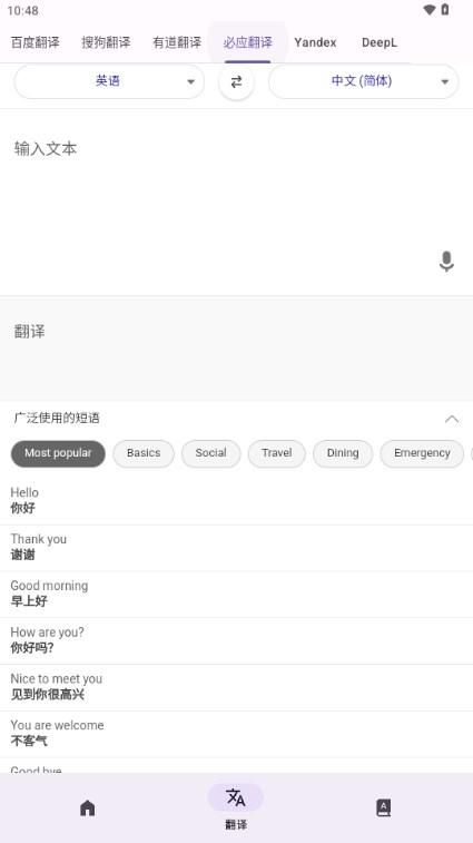 RUOK翻译软件
