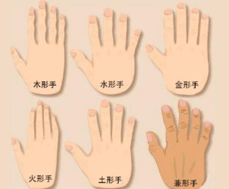 手相通天纹图解软件 手相通天纹图解软件