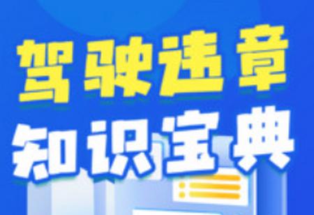 违章交通快查分