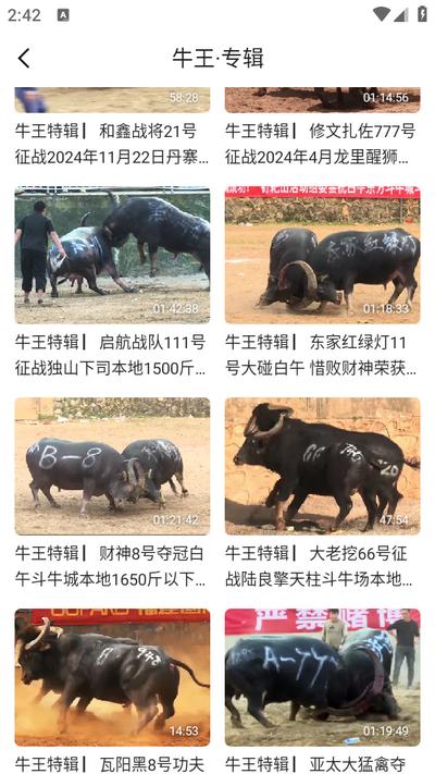 酷牛app官方版 酷牛app官方版