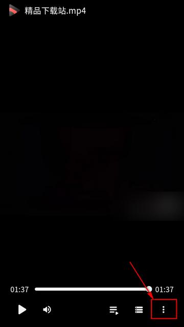 轻量级视频播放器Iris手机版