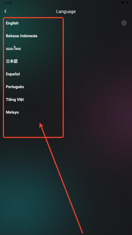 Reelflix海外短剧