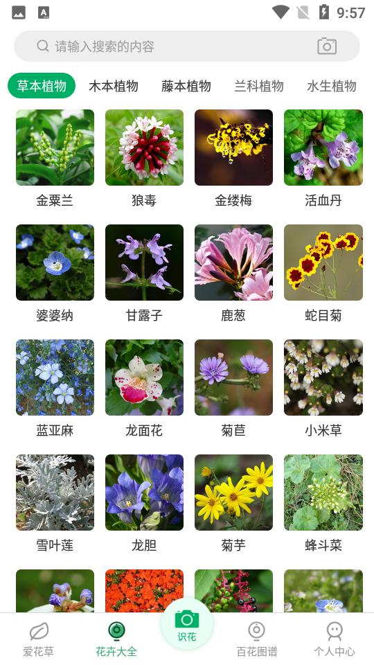 花草识别app 花草识别app