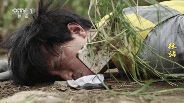 云畅来福电视直播