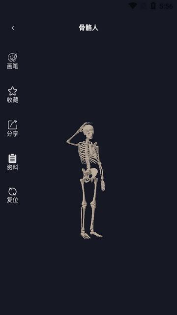 3D速写模型app官方版