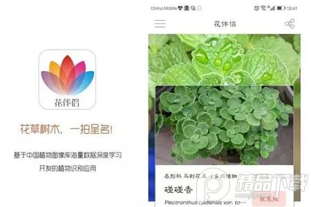 花伴侣App免费 花伴侣App免费