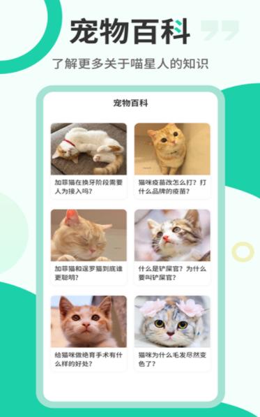 猫叫翻译机app安卓版