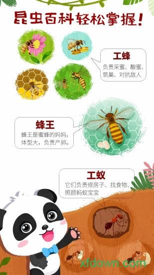 宝宝巴士奇妙昆虫世界截图2